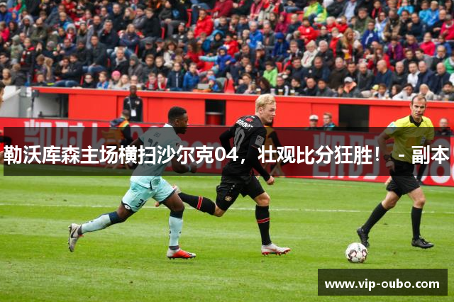 勒沃库森主场横扫沙尔克04，壮观比分狂胜！ - 副本