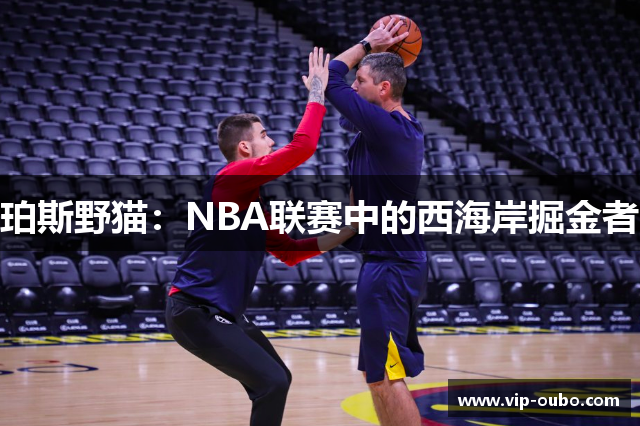 珀斯野猫：NBA联赛中的西海岸掘金者