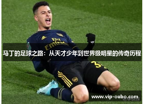 马丁的足球之路：从天才少年到世界级明星的传奇历程